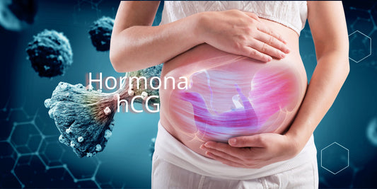 La hormona hCG y sus efectos en el embarazo - twaletta.com.mx